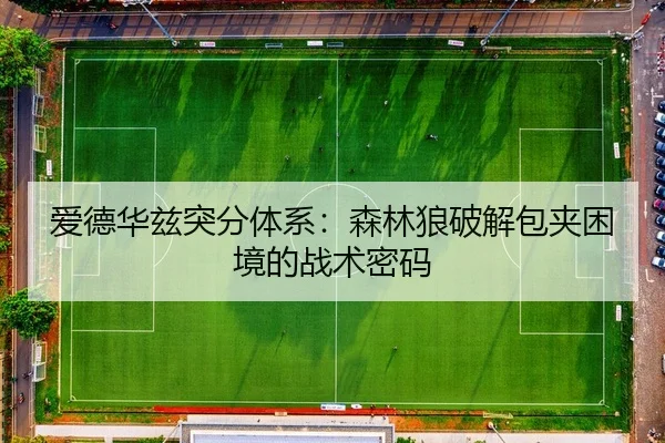 ai-de-hua-zi-tu-fen-ti-xi-sen-lin-lang-po-jie-bao-jia-kun-jing-de-zhan-shu-mi-ma-2-733.jpg